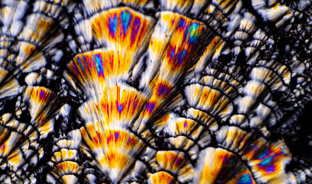 crystal polarized light