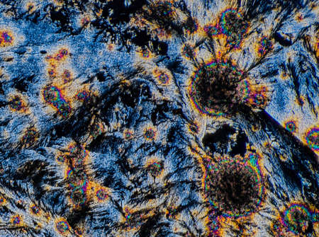 Crystal polarized light