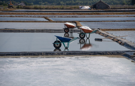 Traditional salt fields with bare soil exposed to the sun in Can Gio.の写真素材