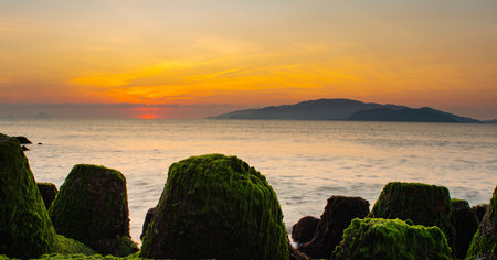 Sunset over the sea with green moss on the rocks in the foregroundの写真素材