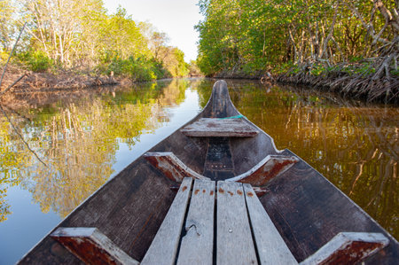 Dong Thap Muoi people travel by hand-rowed sampans.