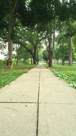 Walk way in green garden backgroundの素材