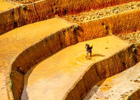 Agricultural terraces in Sapa, Lao Cai, Vietnam