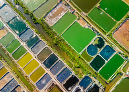 Aerial view in the Mekong Delta, Vietnam