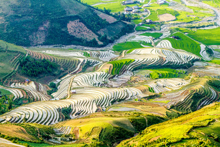 Terraced rice field in Mu Cang Chai, YenBai, Vietnamの写真素材