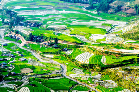Rice fields on terraced of Mu Cang Chai, YenBai, Vietnam