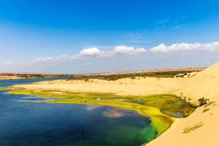 Maspalomas Duna - Desert in Canary Island Gran Canariaの写真素材