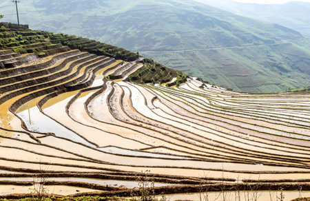 Terraced rice fields in Yuanyang, Yunnan, China