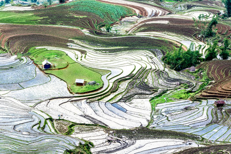 Rice fields on terraced of Mu Cang Chai, YenBai, Vietnamの写真素材