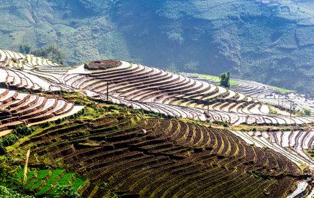 Rice fields on terraced of Mu Cang Chai, YenBai, Vietnamの写真素材