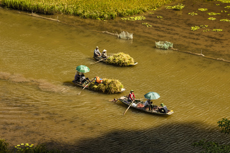 Rice field and river in TamCoc, ninhbinh, Vietnamのeditorial素材