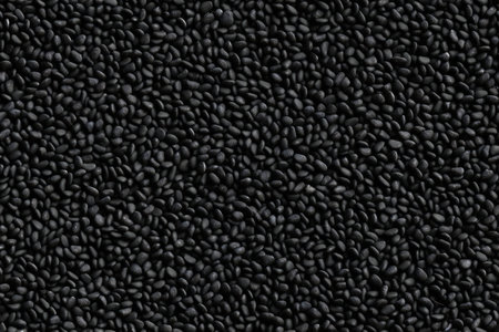Seamless pattern of black lentils. Black lentils background.の素材