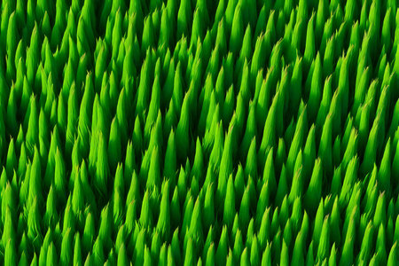 Green grass background. Abstract green grass texture. Green grass background.の素材
