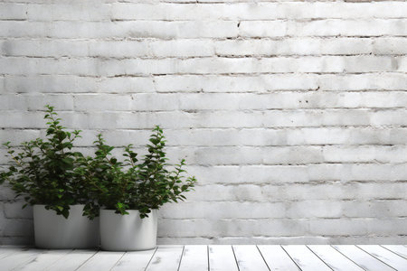 Beautiful potted plants on white wooden floor against white brick wallの素材