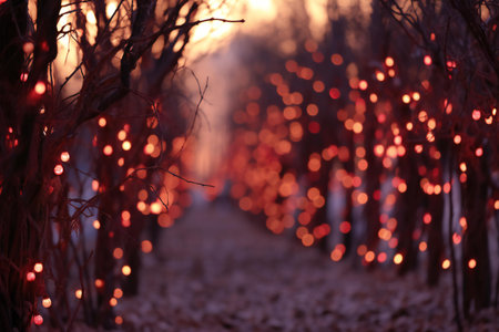 Bokeh of red garland in the park at sunset.の素材