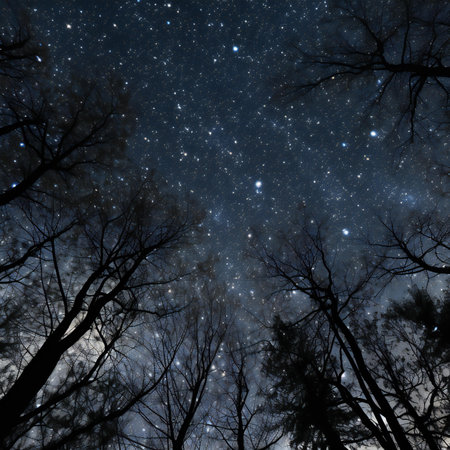 Night sky with stars and silhouettes of trees in the foreground.の素材