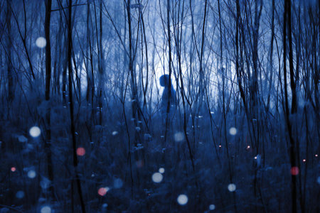 Silhouette of a woman standing in the forest at night.の素材