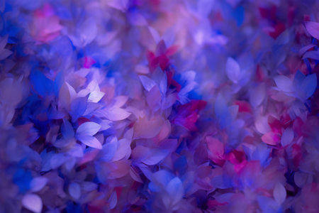 Abstract blurred background of blue and purple flower petals in soft focusの素材