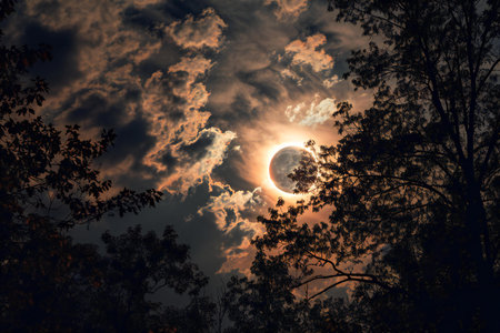 Full moon in the night sky with clouds and silhouette of trees.の素材