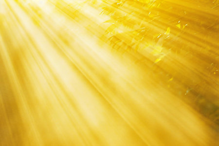 Sunny abstract background with bokeh defocused lights and shadowの素材