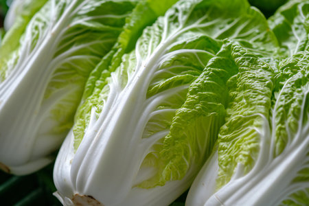 Fresh chinese cabbage on a wooden background. Selective focus.の素材