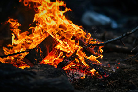 Burning campfire in the forest at night, close-upの素材