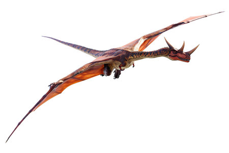 a fantasy dragon isolated on white backgroundの素材