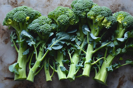 Fresh green broccoli on old metal background. Top view, flat layの素材
