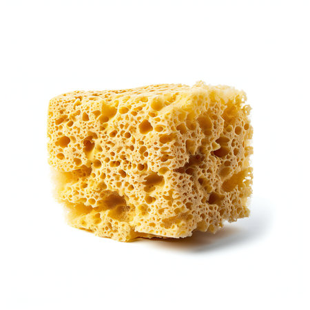 Sponge isolated on white background.の素材