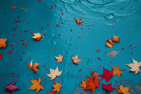 Autumn leaves in the water with drops of water. Autumn backgroundの素材