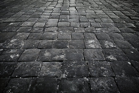 Paving stone in the old city. Black and white photo.の素材