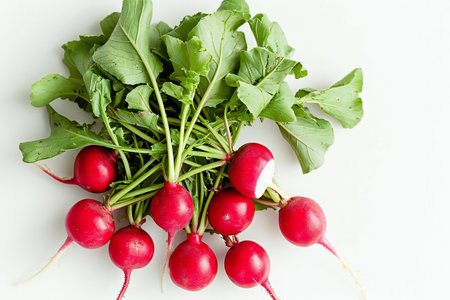 Bunch of fresh red radishes on white background, top viewの素材