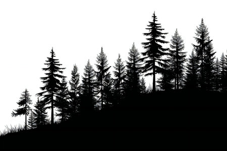 Silhouette of coniferous trees on a hillside.の素材