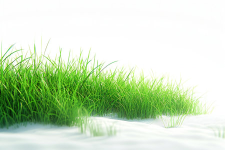 Green grass on white background. illustration. Copy space.の素材