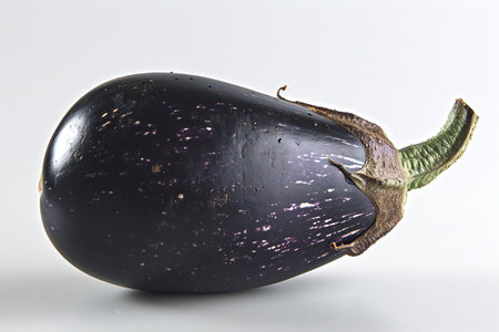 Eggplant isolated on white background. Fresh aubergine.の素材