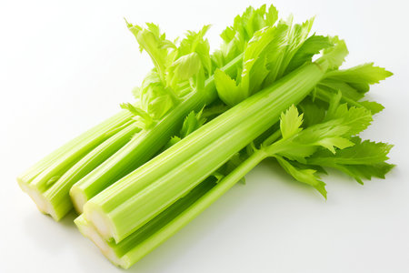 fresh celery isolated on white background, fresh celery on white backgroundの素材