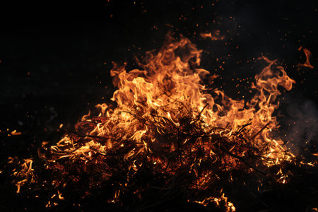 Burning dry grass on a black background. Fire in the night.の素材