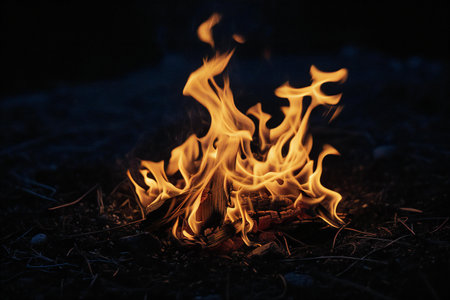 Flames of a campfire in the forest at night. Close-upの素材