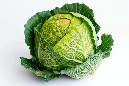 Fresh savoy cabbage isolated on white background. Cabbage head.の素材