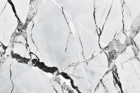 White marble texture abstract background pattern with high resolution. Can be used for interior design.の素材