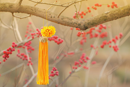 Chinese new year decoration hanging on the tree in the garden with red berriesの素材