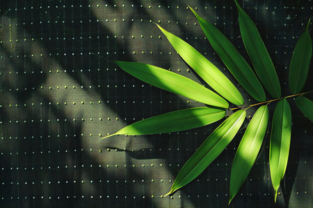 Green bamboo leaves on a dark background with copy space for text.の素材