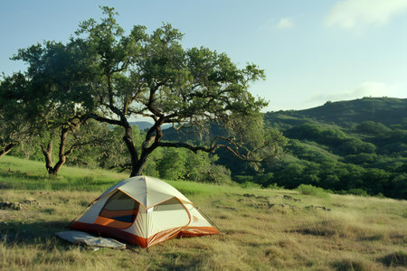 Camping on the hillside in the shade of a tree.の素材