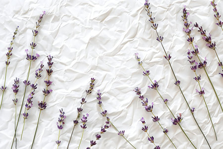 Lavender flowers on white paper background. Flat lay, top viewの素材
