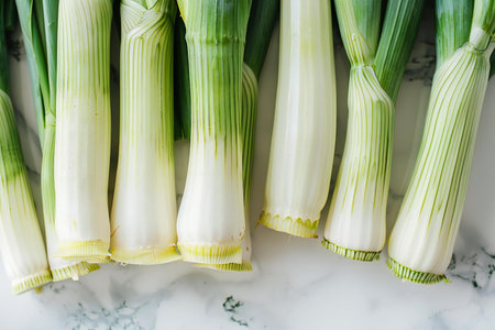 Fresh leekle table. Selective focus. nature.の素材