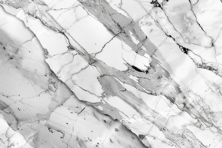 black and white natural marble pattern texture background (High.Res.)の写真素材