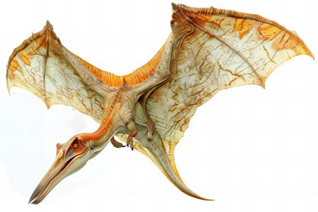 3D rendering of a fantasy dragon isolated on white background with clipping pathの写真素材