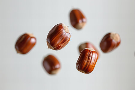 Falling chestnuts on a white background. Shallow depth of fieldの写真素材