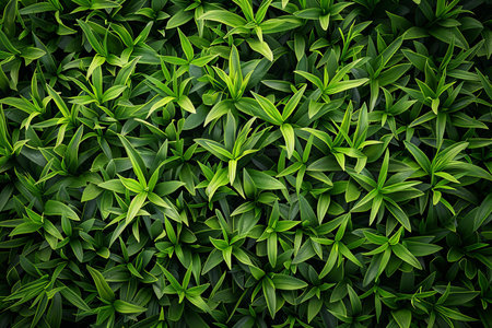 Green leaves background. Green leaves background. Natural green leaves texture.