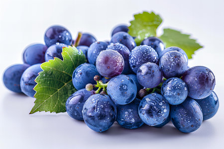 Bunch of blue grapes with leaves on white background, close up